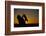 Bobcat Silhouette at Sunrise-W. Perry Conway-Framed Photographic Print