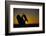 Bobcat Silhouette at Sunrise-W. Perry Conway-Framed Photographic Print