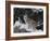 Bobcat Standing in Snow-DLILLC-Framed Photographic Print