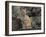 Bobcat-DLILLC-Framed Photographic Print