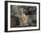 Bobcat-DLILLC-Framed Photographic Print