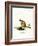 Bobcat-null-Framed Giclee Print