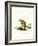 Bobcat-null-Framed Giclee Print