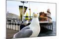 Photographic Print