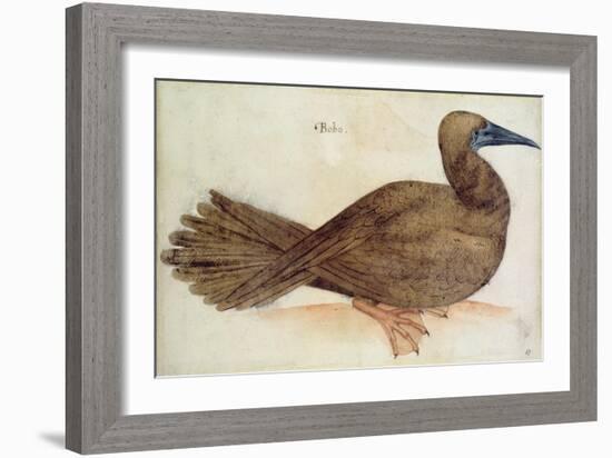 Bobo-John White-Framed Giclee Print