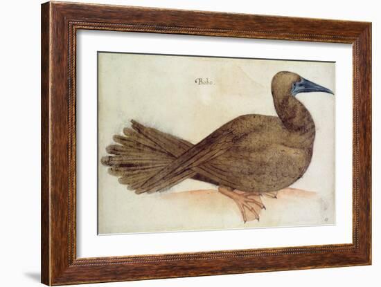 Bobo-John White-Framed Giclee Print