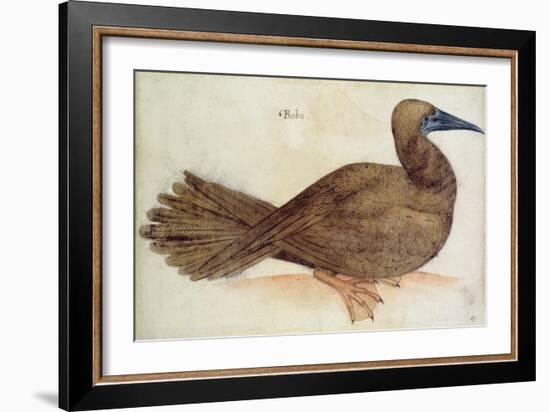 Bobo-John White-Framed Giclee Print