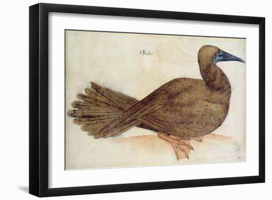 Bobo-John White-Framed Giclee Print