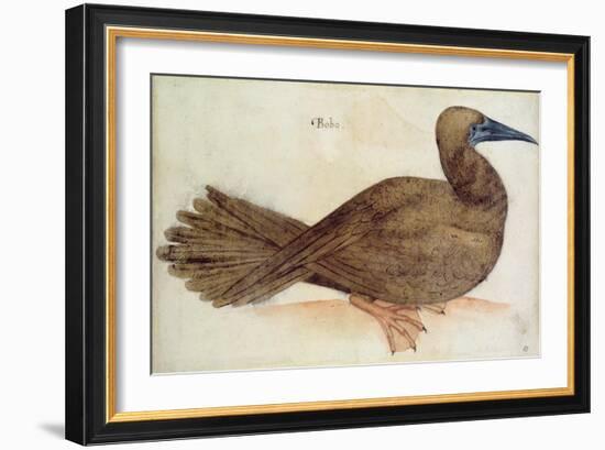 Bobo-John White-Framed Giclee Print