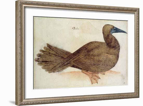 Bobo-John White-Framed Giclee Print