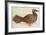 Bobo-John White-Framed Giclee Print