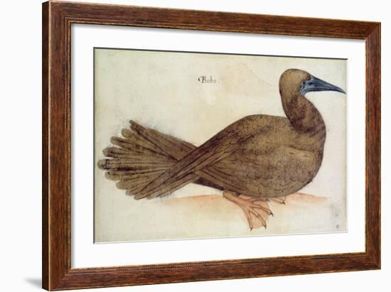 Bobo-John White-Framed Giclee Print