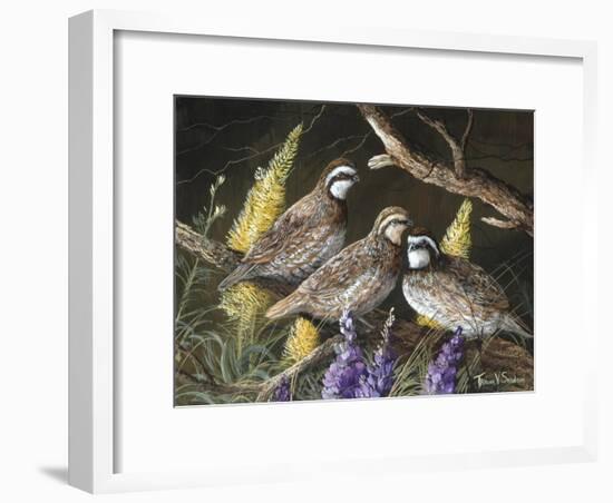 Bobwhite Trio 1-Trevor V. Swanson-Framed Giclee Print