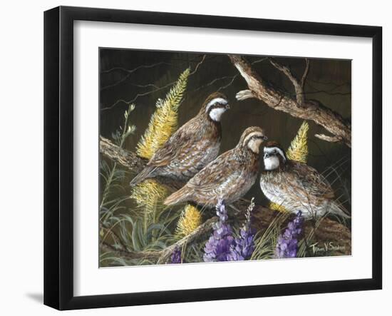 Bobwhite Trio 1-Trevor V. Swanson-Framed Giclee Print