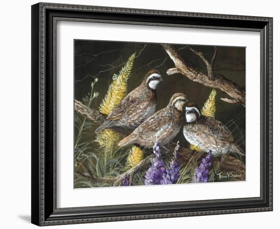 Bobwhite Trio 1-Trevor V. Swanson-Framed Giclee Print