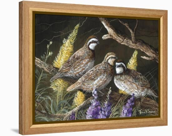 Bobwhite Trio 1-Trevor V. Swanson-Framed Premier Image Canvas