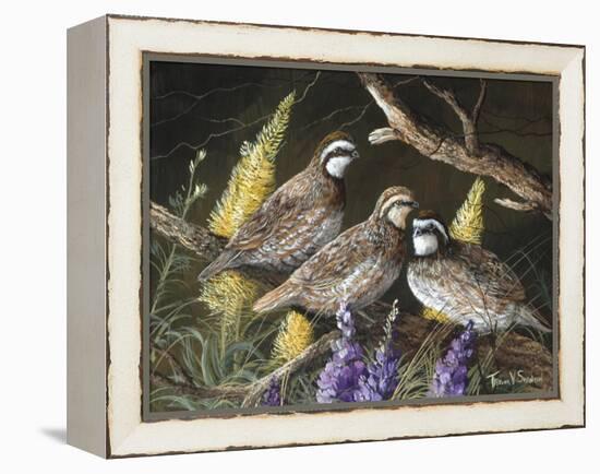 Bobwhite Trio 1-Trevor V. Swanson-Framed Premier Image Canvas