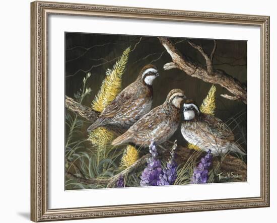 Bobwhite Trio 1-Trevor V. Swanson-Framed Giclee Print