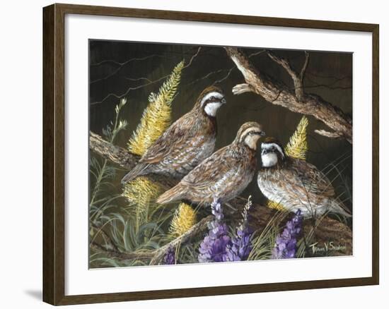 Bobwhite Trio 1-Trevor V. Swanson-Framed Giclee Print