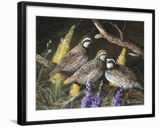 Bobwhite Trio 1-Trevor V. Swanson-Framed Giclee Print