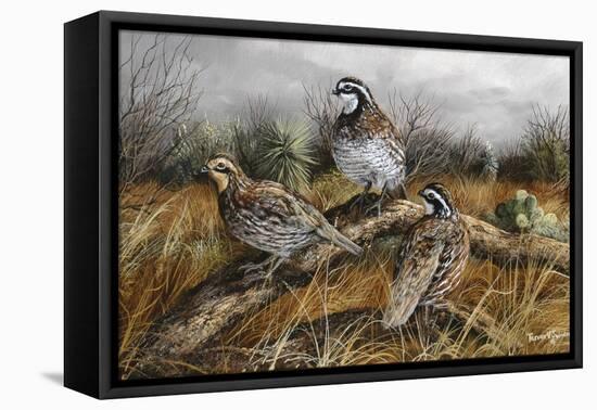 Bobwhite Trio 2-Trevor V. Swanson-Framed Premier Image Canvas