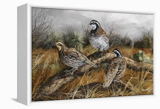 Bobwhite Trio 2-Trevor V. Swanson-Framed Premier Image Canvas