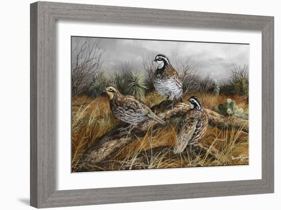 Bobwhite Trio 2-Trevor V. Swanson-Framed Giclee Print