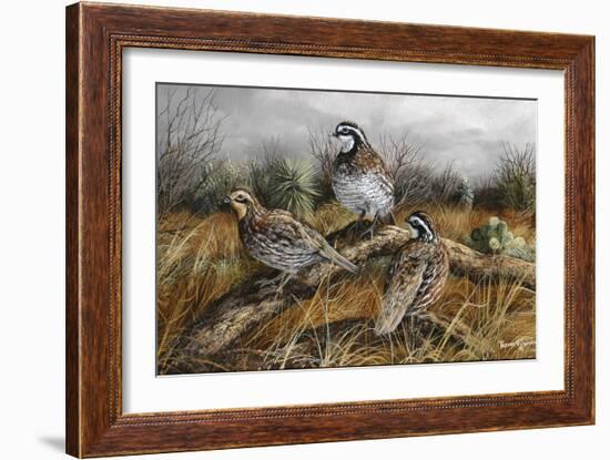 Bobwhite Trio 2-Trevor V. Swanson-Framed Giclee Print