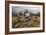 Bobwhite Trio 2-Trevor V. Swanson-Framed Giclee Print