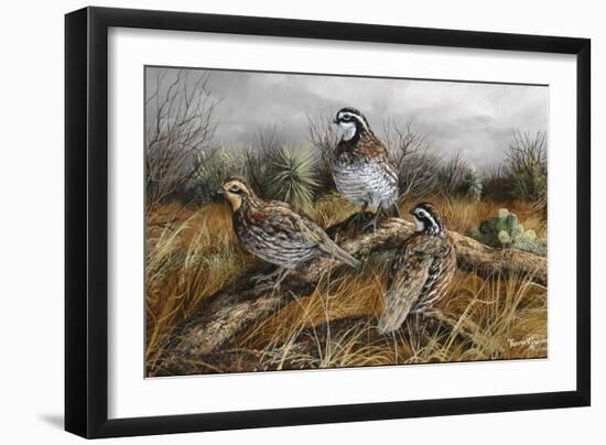 Bobwhite Trio 2-Trevor V. Swanson-Framed Giclee Print