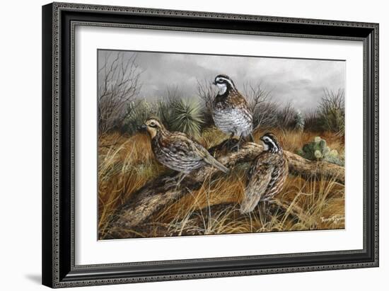 Bobwhite Trio 2-Trevor V. Swanson-Framed Giclee Print