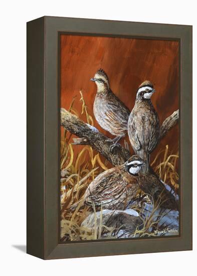 Bobwhite Trio 4-Trevor V. Swanson-Framed Premier Image Canvas