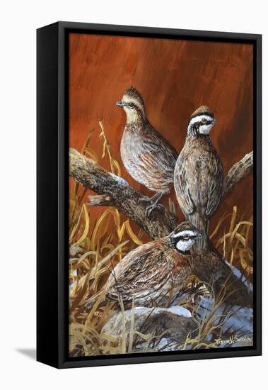 Bobwhite Trio 4-Trevor V. Swanson-Framed Premier Image Canvas