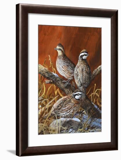 Bobwhite Trio 4-Trevor V. Swanson-Framed Giclee Print