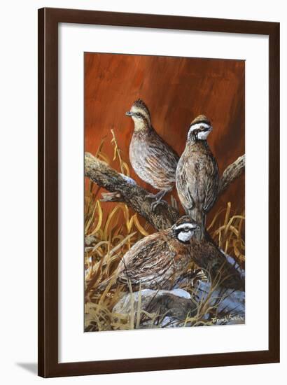 Bobwhite Trio 4-Trevor V. Swanson-Framed Giclee Print