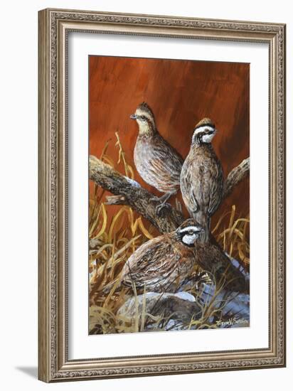 Bobwhite Trio 4-Trevor V. Swanson-Framed Giclee Print