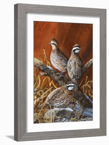 Bobwhite Trio 4-Trevor V. Swanson-Framed Giclee Print