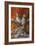 Bobwhite Trio 4-Trevor V. Swanson-Framed Giclee Print