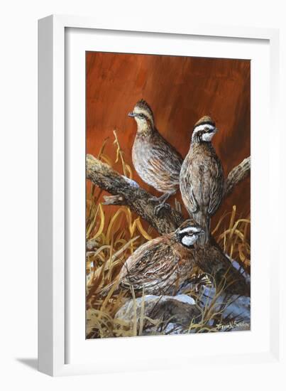 Bobwhite Trio 4-Trevor V. Swanson-Framed Giclee Print