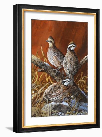 Bobwhite Trio 4-Trevor V. Swanson-Framed Giclee Print