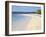 Boca Del Drago Beach, Colon Island (Isla Colon), Bocas Del Toro Province, Panama, Central America-Jane Sweeney-Framed Photographic Print