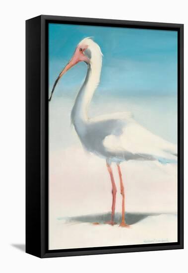 Boca Ibis-Kathleen Broaderick-Framed Stretched Canvas