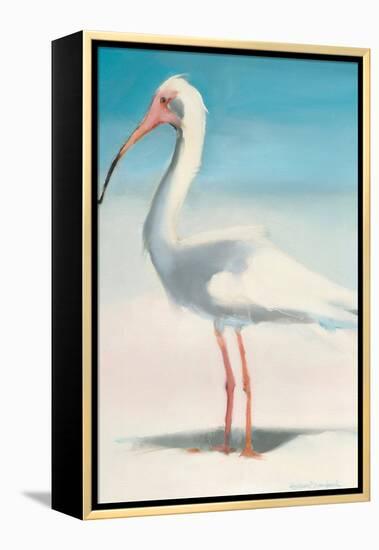 Boca Ibis-Kathleen Broaderick-Framed Stretched Canvas