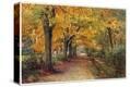 Stretched Canvas Print