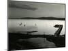 Bodega Bay, California, 1956-Brett Weston-Mounted Photographic Print