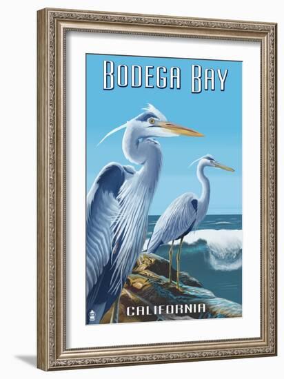 Bodega Bay, California - Blue Heron-Lantern Press-Framed Art Print