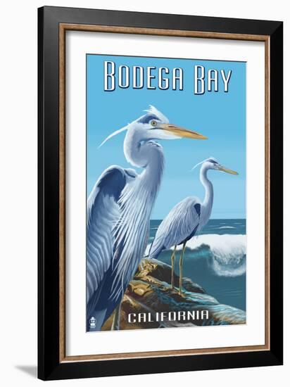 Bodega Bay, California - Blue Heron-Lantern Press-Framed Art Print