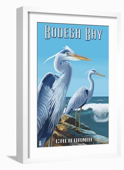 Bodega Bay, California - Blue Heron-Lantern Press-Framed Art Print