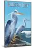 Bodega Bay, California - Blue Heron-Lantern Press-Mounted Art Print