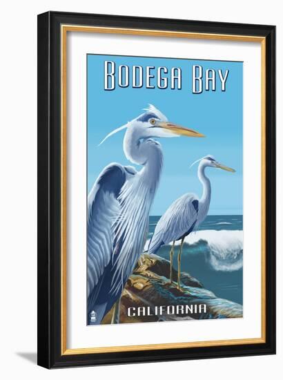 Bodega Bay, California - Blue Heron-Lantern Press-Framed Art Print